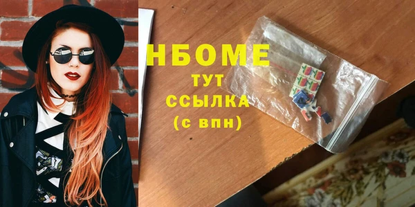 прущие грибы Инта